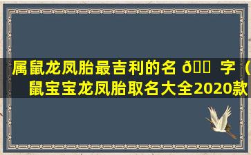 属鼠龙凤胎最吉利的名 🐠 字（鼠宝宝龙凤胎取名大全2020款）